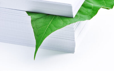 Woran erkenne ich umweltfreundliches Papier?