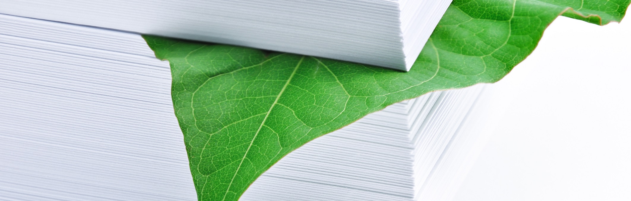 Papier und deren Nachhaltigkeit